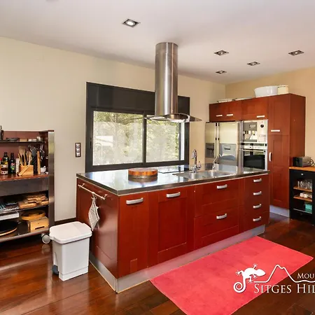 Spacious Santa Fe - Private Pool, Big Garden And A/c Close To Sitges